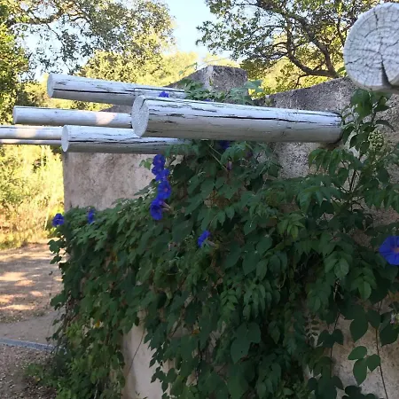 Peaceful In With Private Pool * קוגולין